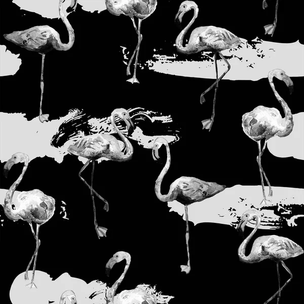 Flamingo patroon. Zomer aquarel achtergrond. — Stockfoto