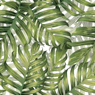Palm Monstera Seamless modeli