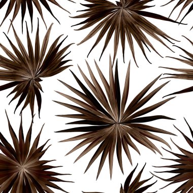 Palm Monstera Seamless modeli