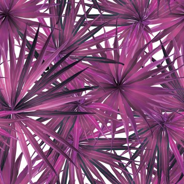 Palm Monstera Seamless modeli