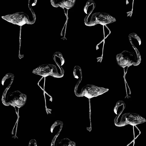 Padrão de flamingo. Verão fundo aquarela . — Fotografia de Stock