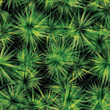 tropik yaz arkaplanı.