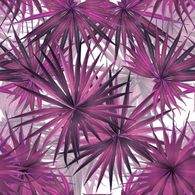 tropik yaz arkaplanı.