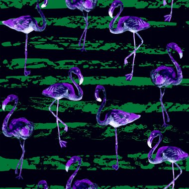Flamingo desen. Yaz suluboya arka plan.