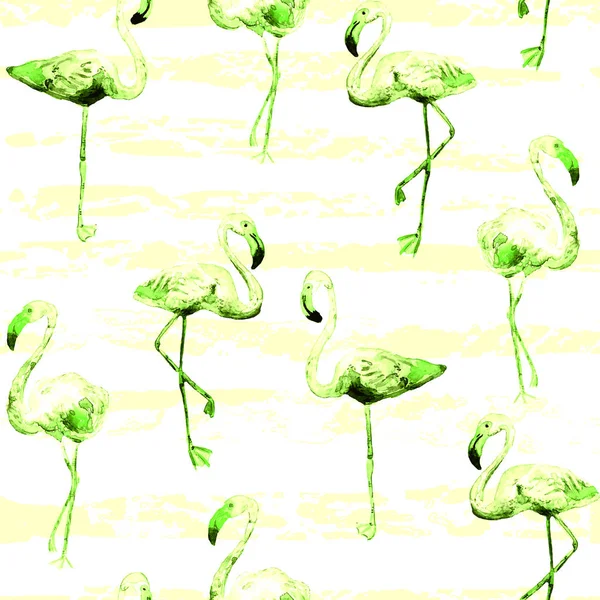 Flamingo vzor. Letní akvarel zázemí. — Stock fotografie