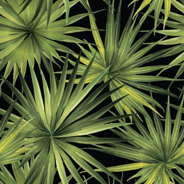 Palm Monstera Seamless modeli. 