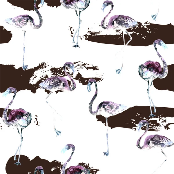 Flamingo desen. Yaz suluboya arka plan.
