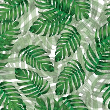 Palm Monstera egzotik Seamless modeli. 