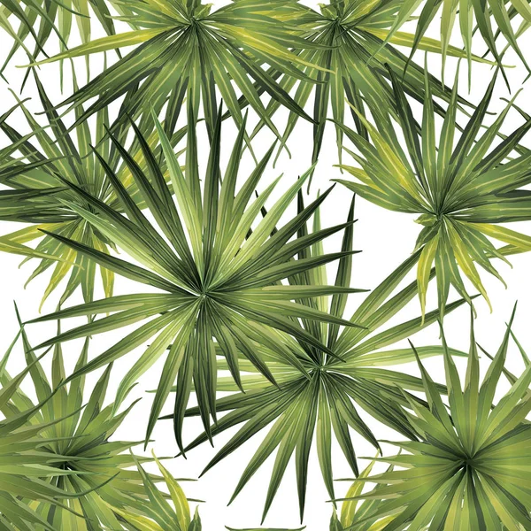 Palm Monstera Exotic Seamless Pattern. — Stock Vector