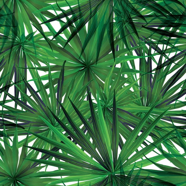 Palm Monstera egzotik Seamless modeli. 