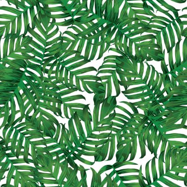 Palm Monstera Seamless modeli.