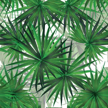 Palm Monstera Seamless modeli.