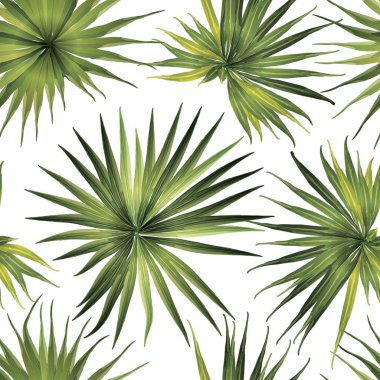 Palm Monstera Seamless modeli.