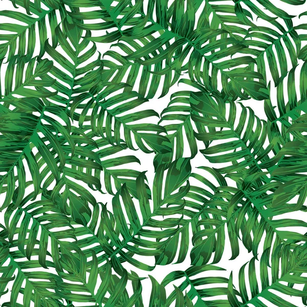 Palm Monstera Seamless modeli.