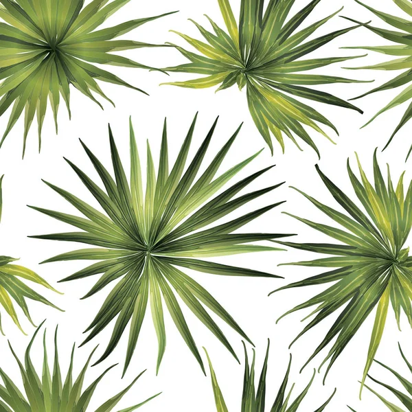 Palm Monstera Seamless modeli.