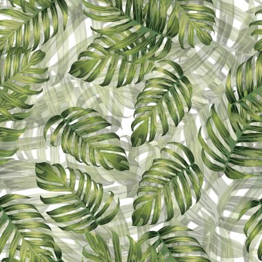 Palm Monstera Seamless modeli. 