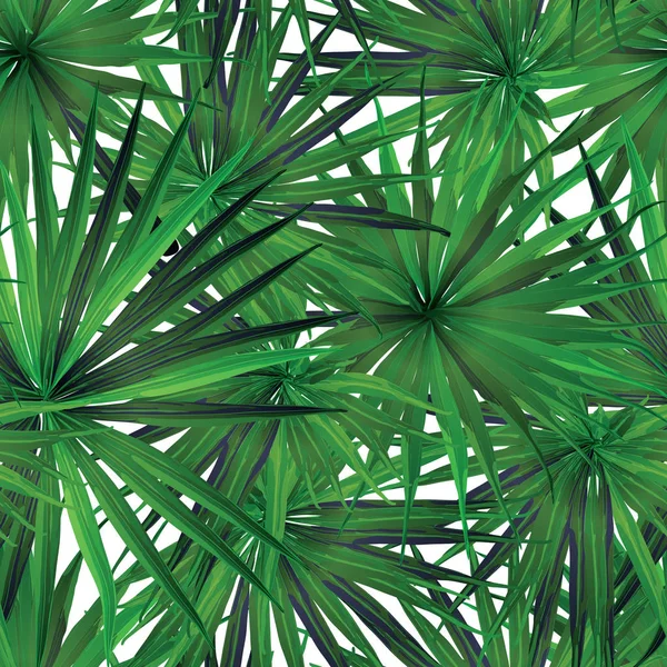 Motif sans couture Palm Monstera . — Image vectorielle