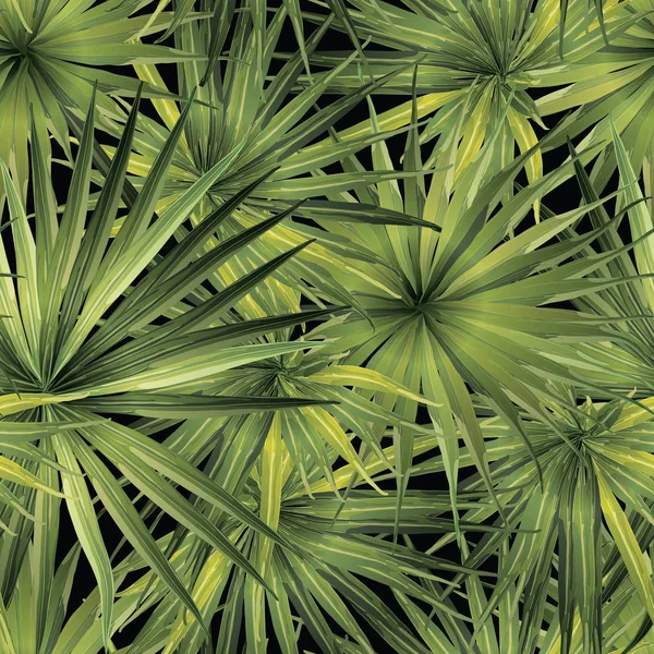 Motif sans couture Palm Monstera . — Image vectorielle