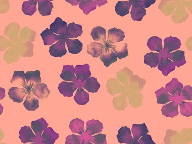 Hawaiian suluboya desen. 