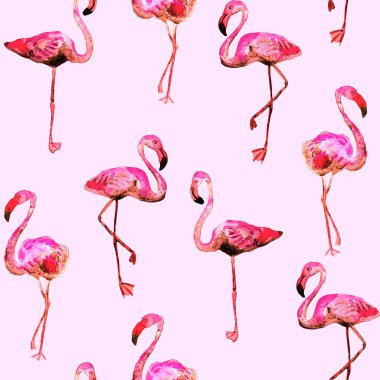 Flamingo desen. Yaz suluboya arka plan.