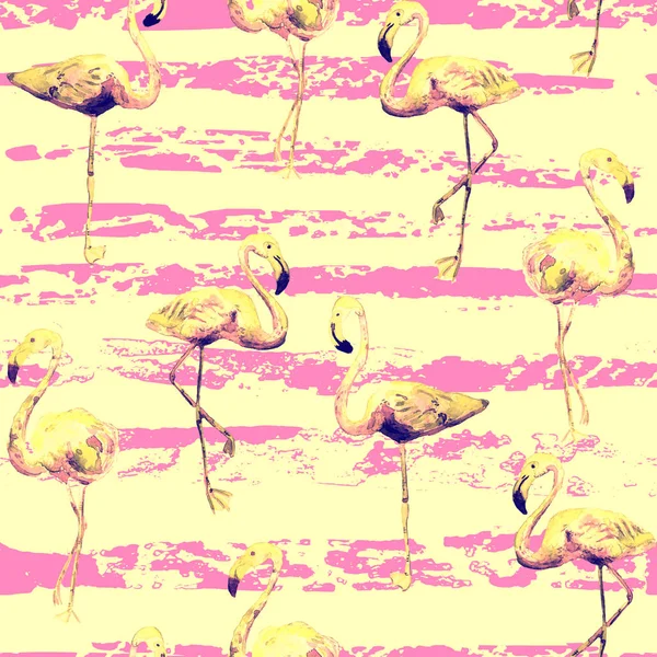 Flamingo wzór. Lato na tle akwarela. — Zdjęcie stockowe