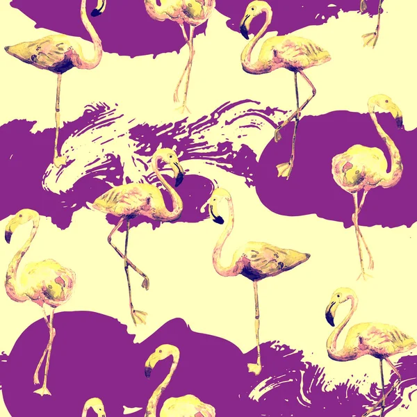 Flamingo mönster. Sommaren akvarell bakgrunden. — Stockfoto