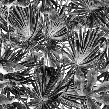 Flamingo desen. Yaz suluboya arka plan.