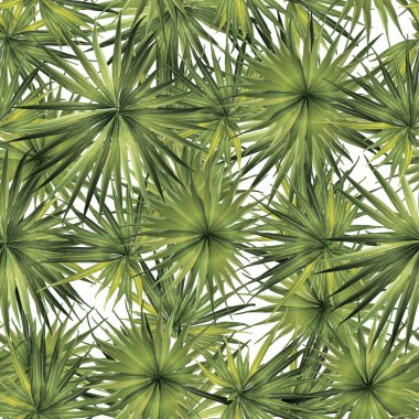 Palm Monstera Seamless modeli. 