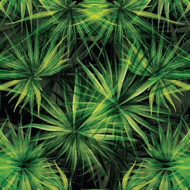 Palm Monstera Seamless modeli. 