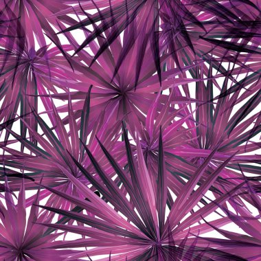 Palm Monstera Seamless modeli. 