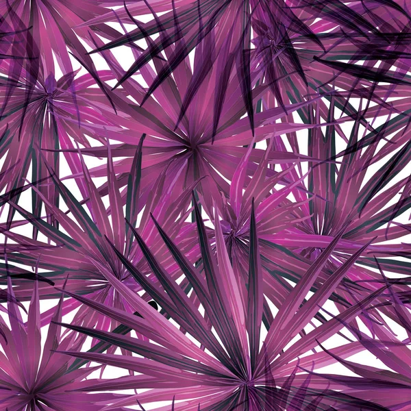 Palm Monstera Seamless modeli. 