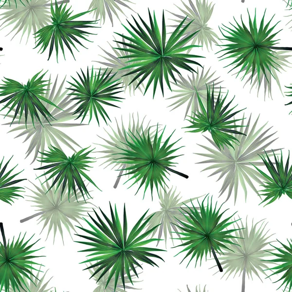 Palm Monstera Seamless modeli. 