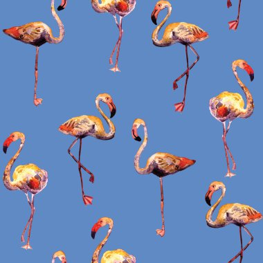 Flamingo desen. Yaz suluboya arka plan.