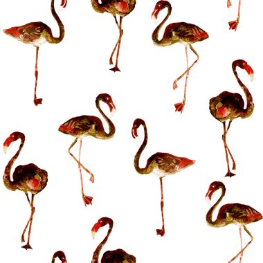 Flamingo desen. Yaz suluboya arka plan.