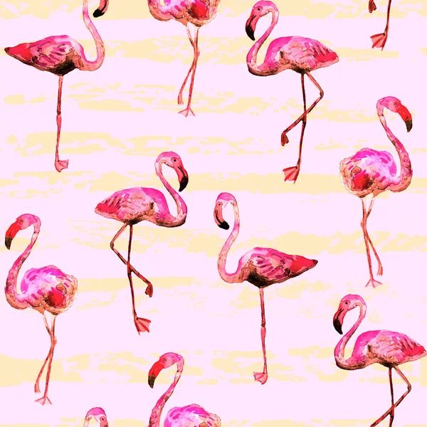 Το Flamingo μοτίβο. Καλοκαίρι ακουαρέλα φόντο. — Φωτογραφία Αρχείου