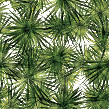 Palm Monstera Seamless modeli. 