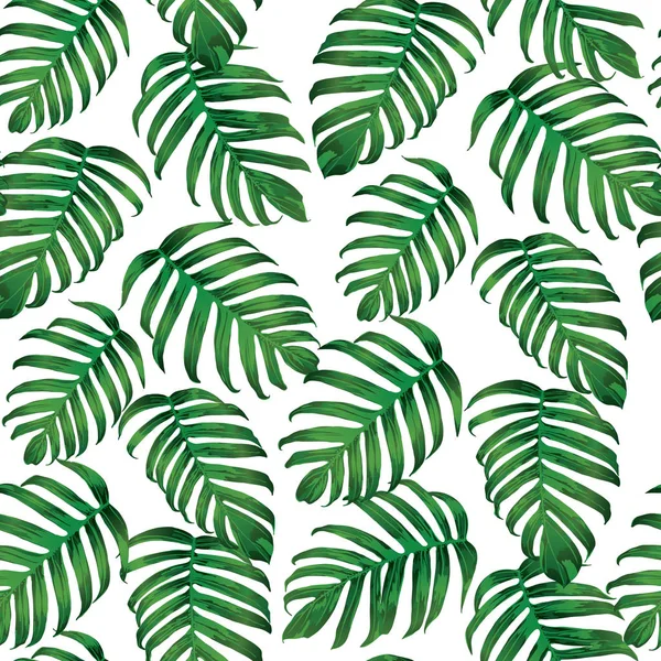 Palm Monstera naadloze patroon. — Stockvector