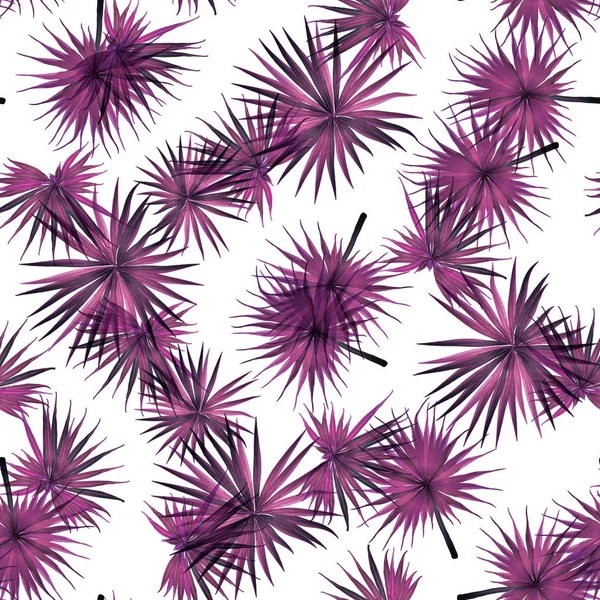 Palm Monstera Seamless modeli.