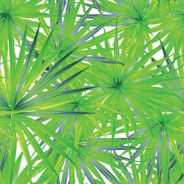 Palm Monstera Seamless modeli.