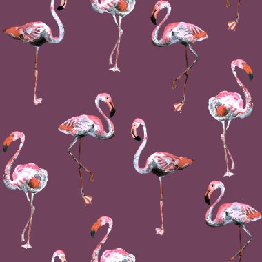 Flamingo desen. Yaz suluboya arka plan.
