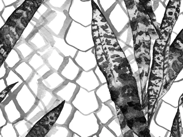 Folhas exóticas e pele de cobra padrão sem costura . — Fotografia de Stock