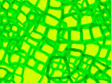 Timsah Kusursuz Desen.