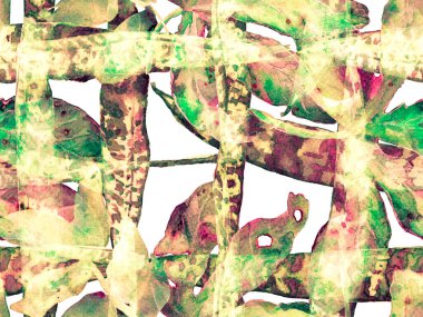 Suluboya Tertemiz Desen 'i Bırakıyor.