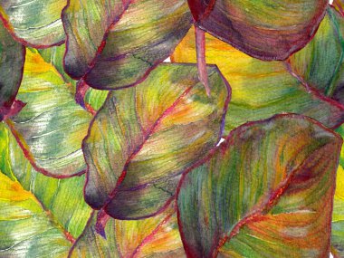 Suluboya kusursuz desen.