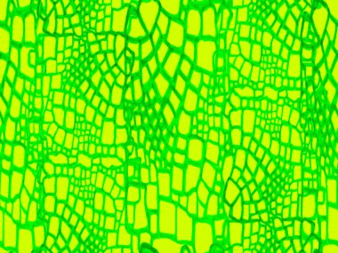 Timsah Kusursuz Desen.