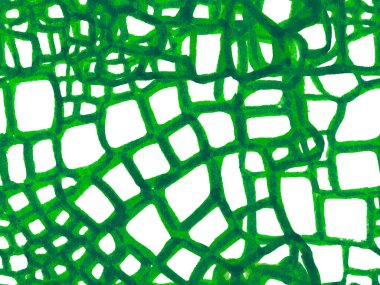 Timsah Kusursuz Desen.