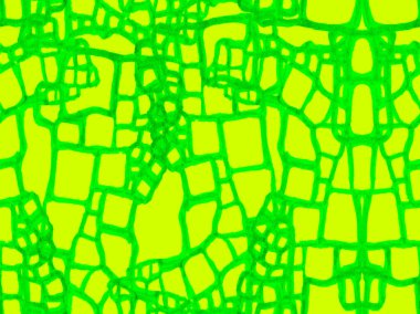 Timsah Kusursuz Desen.