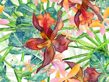 Orkide Kusursuz Desen.