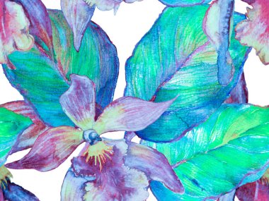 Orkide Kusursuz Desen.