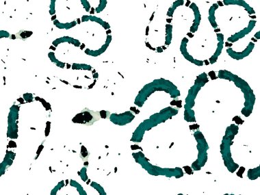 Yılan kusursuz desen.